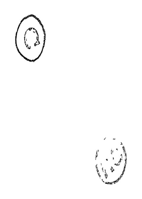 Jataka Bharanam